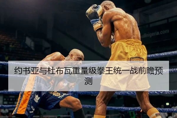 约书亚与杜布瓦重量级拳王统一战前瞻预测